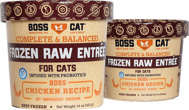 Boss Cat Frozen Raw Chicken Recipe